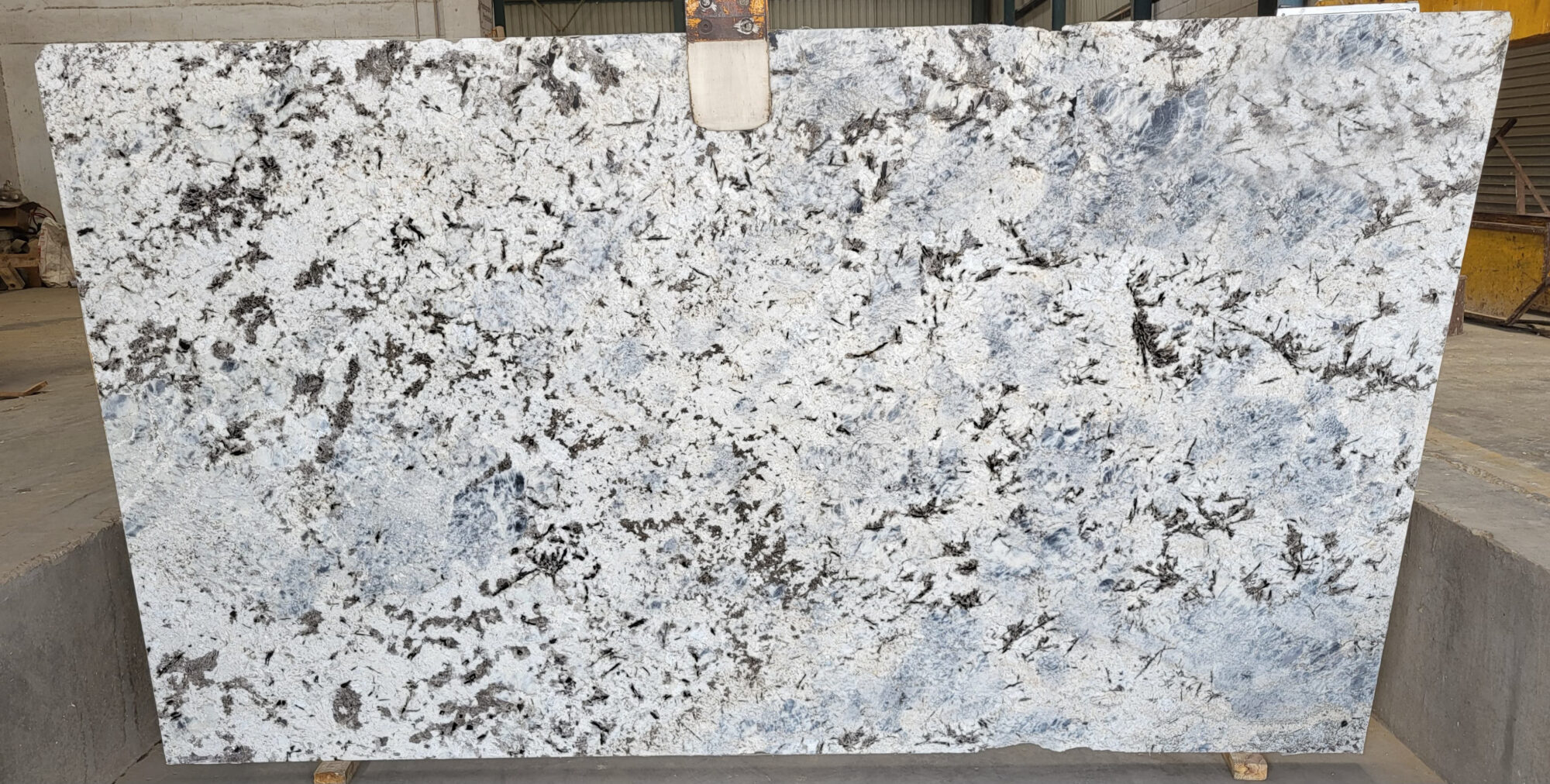 AURELIA BLUE - Image 2
